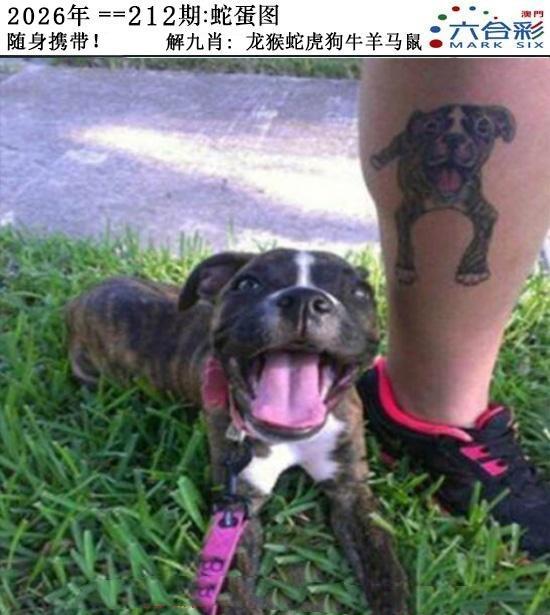 图片资料正在更新中……