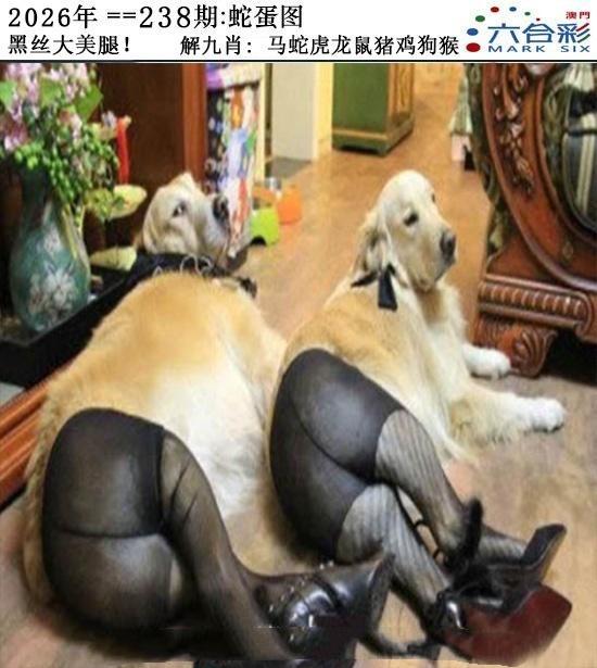 图片资料正在更新中……